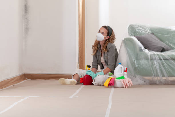 Reliable Mold Cleanup contractor in Dundalk, MD by WQB Mold Removal